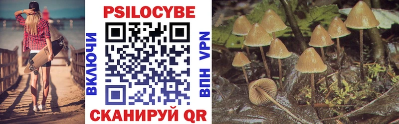Галлюциногенные грибы MAGIC MUSHROOMS  Купить  Игарка 