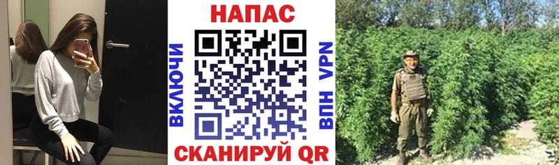Купить  Игарка  МАРИХУАНА семена 